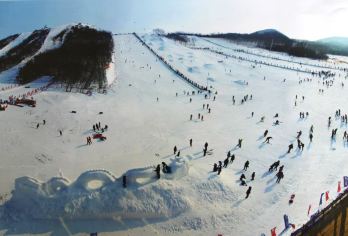 【上门接送6人团】沈阳怪坡滑雪纯玩一日游【[品质保证]纯玩品质，自家发团，旅行社承诺不进任何暗点，真正0购物团型】