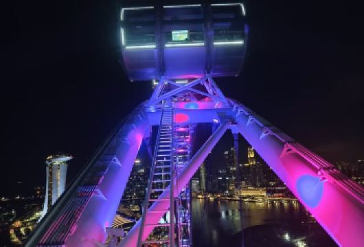 新加坡-鱼尾狮公园-滨海湾花园-摩天观景轮【市区上门接送】【专属线上管家服务+当地华人司机，给您专业的服务保障】