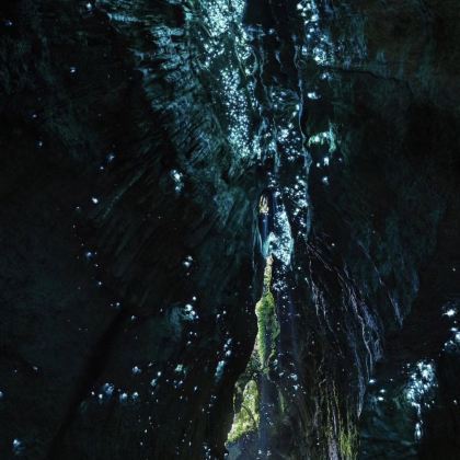 黄金海岸｜夜游梦幻蓝色萤火虫洞