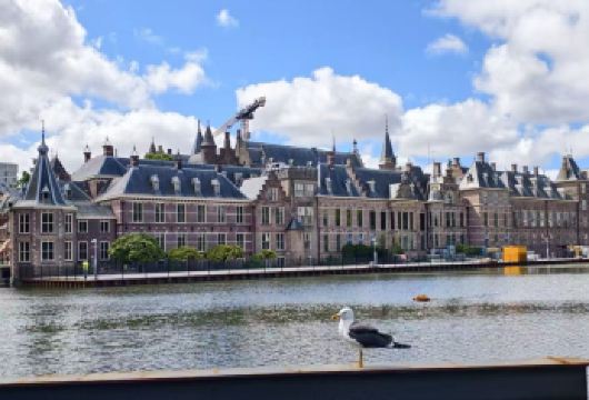 荷兰阿姆斯特丹往返鹿特丹+海牙+戴珍珠耳环的少女【中文定制】【专属私密，一家一团，尽享自在旅途。】