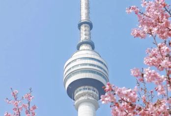 【精品纯玩】空轨+ 龟山+晴川阁+大禹神话园+古琴台一日游【春晚武汉上大分，打卡网红地标： 跟随春晚脚步，探秘武汉新晋网红地标，感受城市活力与魅力。】