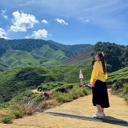 吉隆坡出发，金马仑高原一日游，包含茶园、农产品市场和午餐