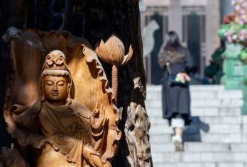 白瀑寺徒步1日游【免门票+北京版黑神话+徒步】【免门票徒步活动】