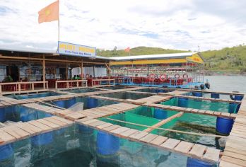 芽庄一日游/ Hon Mun 和珊瑚湾（酒店接送、午餐、导游......）【在水上餐厅享用海鲜午餐和芽庄特色菜。 欣赏芽庄清澈、美丽的碧绿海水并在其中游泳。 友好而细心的导游帮助客人以有趣和舒适的方式享受旅游。】