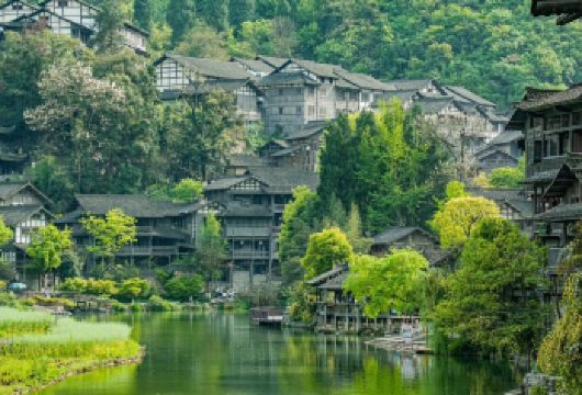 贵州遵义：乌江寨一日游【包车｜私人定制｜中英文导游】C【[VIP尊享服务] 专属包车出行，司机全程陪同，行程灵活可调，打造个性化旅程】