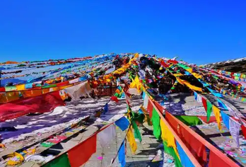 迪庆包车地陪导游翻译地接陪同接送旅游展会商务考察陪诊【迪庆包车地陪导游翻译地接陪同接送旅游展会商务考察陪诊】