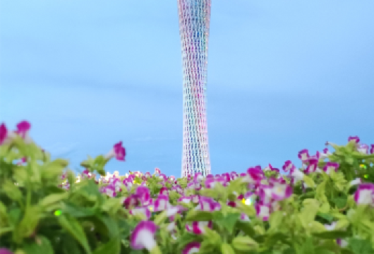 广州塔+珠江夜间活动+黄埔军校旧址+陈家祠+沙面一日活动@羊城美景【丨一览羊城好风光丨品读“岭南艺术明珠”陈家祠丨】