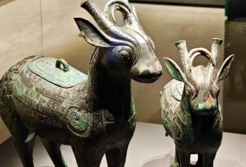 西安秦岭野生动物园+陕西考古博物馆+大唐芙蓉园一日游英文服务【可提供英文及小语种导游服务-往返接送-可选导游-可代订门票】