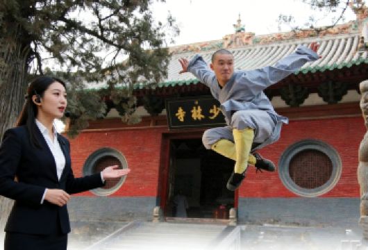 少林寺人工导游讲解丨甄选优秀导游讲解服务（含少林寺塔林景区）【[时间自由、私人定制]资深导游，适合亲子出游、家庭出游、私人包团，时间自由、不需要和别人拼团；】