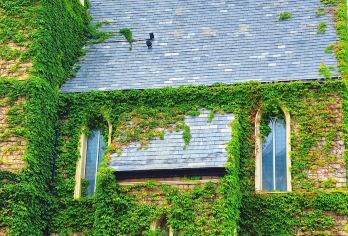 『踏海·台北记忆』平潭岛-童话小镇S湾-猴研岛-打卡台北记忆【『平潭岛』：阳光笼罩下的泛金沙滩、随风转动的落日风车、静谧孤独的黑礁石，沿途能听到海浪涛声】