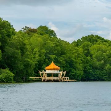 文莱  河生态红树林+长鼻猴一日包车游(港口接送）