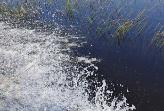 美国+迈阿密大沼泽地国家公园+南海滩一日游/行程可调-可定制【包车一日游，解锁旅行新方式！独立车辆配备经验丰富的老司机，为您量身打造专属行程。】