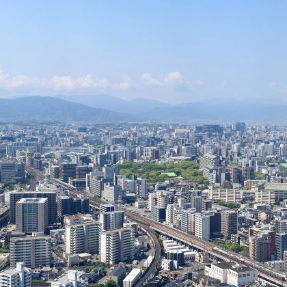 日本福冈经典地标打卡+市区深度探索+留学生地陪一日游包车