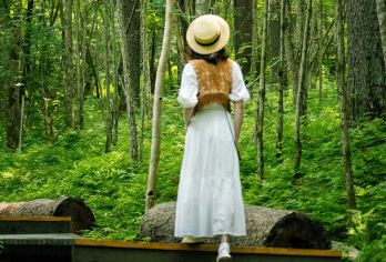 汤旺河出发-茅兰沟森林公园+嘉荫+江边公园一日游【独立包车】【往返专车接送，多款舒适座驾供选择，可按需量身定制行程；纯玩无购物】