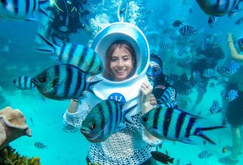 富国岛珊瑚公园+浮潜/海底漫步/摩托艇/缆车+快艇出海一日游【在越南第珊瑚公园体验海上漫步/丰富水上活动】