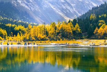 成都往返：毕棚沟-雪山童话世界一日游 | 中英双语精品团【[四季山水]春季雪山下的羊角花，夏季碧波蓝天出大片，秋季五彩斑斓美如画，冬季冰雪世界玩不停】