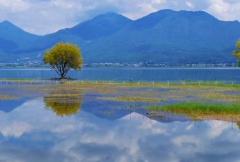 丽江千古情+丽江古城+万古楼+拉市海茶马古道一日游可英文服务【可提供英文及小语种导游服务-往返接送-可选导游-可代订门票】