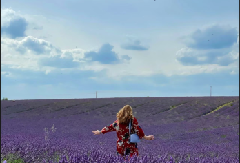 【尼斯-普罗旺斯]凡尔登大峡谷和圣十字湖+普罗旺斯薰衣草【[定制包车游]专享中文司机独立包车，市区范围酒店上门接送，行程路线天数可根据个人需求调整。】