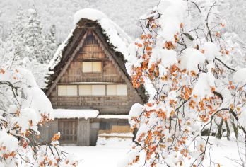 白川乡一日游【中英导游 郡上八幡＆飞驒高山＆白川乡文化遗产】【漫步于如画的世界遗产白川乡，冬雪如童话，四季皆美。游客可欣赏合掌造村落风光，体验日本乡村的独特魅力。】