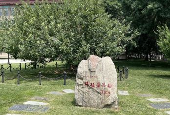 天津大学+南开大学一日游【 天津名校研学亲子研学8人内小团】【[筑梦北洋]走进天大，参观天大东门、北洋纪念亭、第九教学楼、牛顿苹果树……欣赏北洋的校园风光】