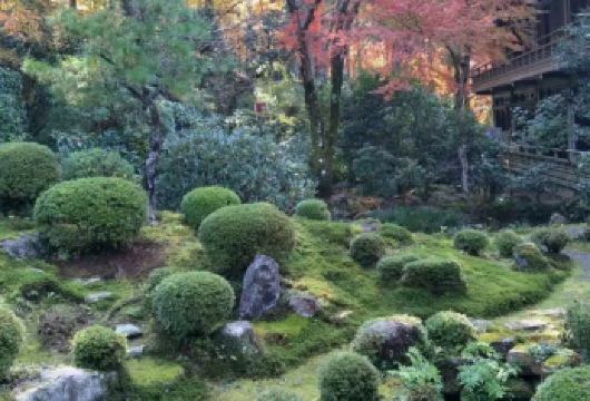 日本京都-琉璃光院-三千院-贵船神社-红叶满天 京都巡礼【专业行程定制，精选热门景点，高效游玩不走回头路，贴心服务保障，轻松】