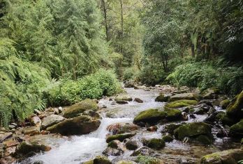 腾冲高黎贡山【五道溪】徒步（瀑布+丛林穿越）【沿溪徒步赏葱郁绿植，浅滩可戏水，每步皆伴清新溪风，野趣满满】