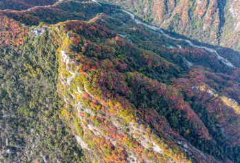 11.10/15（周一/六）翠华山龙脊，赏悬崖红叶奇观【推荐景色：叶沿石崖铺展，苍劲石骨衬丹枫，一步一景皆是秋日磅礴与柔情】
