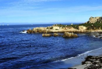 美国旧金山+加州一号公路全段包车一日游/行程可调-可定制【专属客服和本地中文司机，一家一团包车】