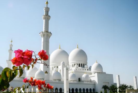 阿布扎比艺术与海洋轻享包车一日游【节奏松弛有度：3大核心景点搭配充足游玩时长，无密集转场，全程预留休息缓冲时间，避免疲惫赶路】