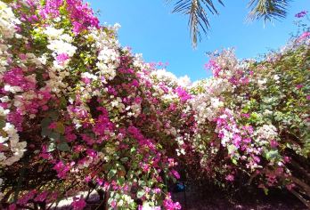 二滩+河门口公园+三线建设博物馆【2人起订 独立小包团】【2人起订 独立小包团 上门接送】