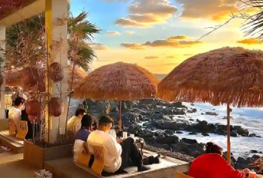 韩国济州市南线一日【潜水艇√小羊肖恩√涯月√汉拿山√柱状√】【E+西南线 [ 柱状节理带+西归浦潜水艇/偶来市场+山茶花之丘+小羊肖恩牧场+涯月咖啡一条街 ]】