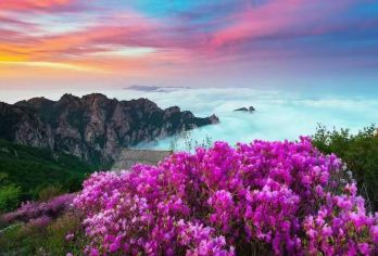 祖山风景区一日游【往返车费*门票*全程观光车*保险】【纯玩无购物，景区内自由活动。】