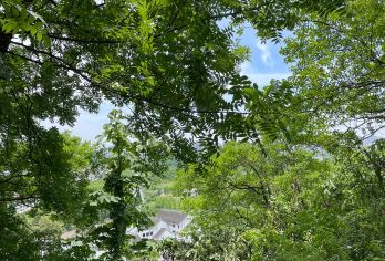 南通狼山+滨江公园+濠河+唐闸古镇+啬园包车一日游英文服务【提供多语种服务、全程专车接送、热门景点门票一站式旅行服务】