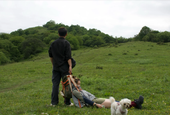 甘海子轻徒步一日游【雪山草甸 高山牧场】【正规旅游大巴车】