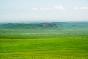 希拉穆仁草原纯玩一日游【纯玩无购物】