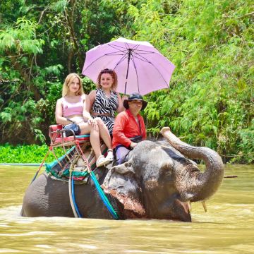 『优选特惠』芭堤雅野生大象乐园【酒店接送|超多项目可选】