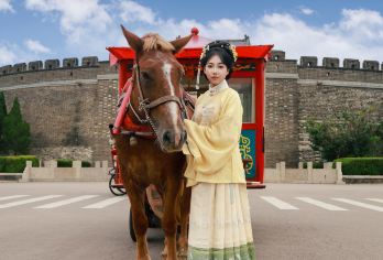 曲阜孔庙孔府【含门票9人小团】非遗马车体验＋金牌导游趣味讲解【[乘马车·游古城]乘坐马车穿越古城 ，体验非遗马车。】