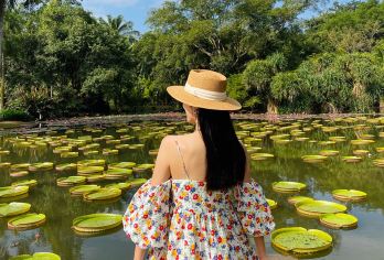 中科院植物园一日游【日夜深度游，专业导游精讲，动植物科普】【[品质保障]纯玩无购物，无任何影响消费，无套路，放心游玩】