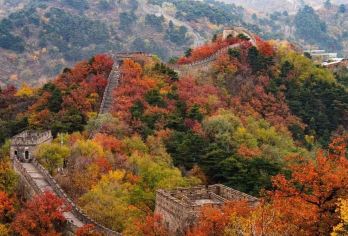 【八达岭长城往返大巴·直达无忧】门票 +随车导游精讲【[品质保证]:趣味纯玩，无购物，臻享纯玩团】