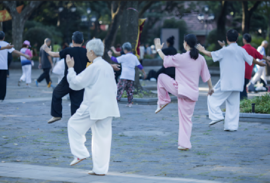 私人定制杭州深度游 — 体验地道文化、生活方式与隐秘之美【与您的私人导游和司机同行，像当地人一样深入了解杭州 非常适合首次到访的游客、文化爱好者以及摄影爱好者 当地文化、历史与自然风光的完美融合】
