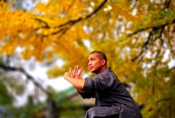 郑州出发嵩山少林寺+武术馆+塔林+三皇寨纯玩一日游【[高性价比]专注河南地接线路25余年。优选商家，天天发团，不进购物店，只做纯玩高品质！】