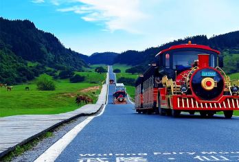 【8人团·免换乘】武隆天生三桥+仙女山国家森林公园一日游【7：30分左右开始接人，8：00左右出发，让您既不用早起赶车，景区还有足够时间游览；】