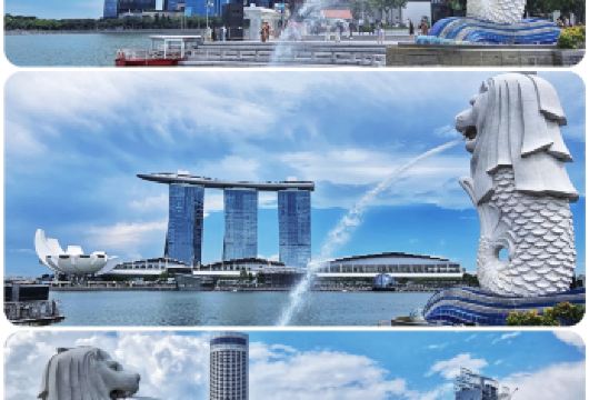 新加坡一日精华游｜鱼尾狮+滨海湾双花园+河游船+多元文化街区【1. 串联10大核心景点，覆盖地标打卡、自然景观与多元文化，免费景点占比高，性价比拉满】