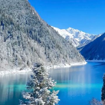 陇南出发九寨沟1日游【陇南武都起止·上门接送1—8人小团】