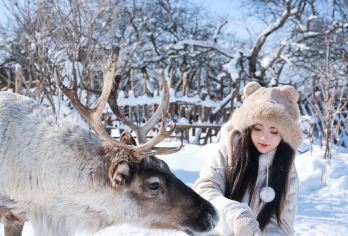 长白山北坡/西坡景区1日包车游+行程定制【可预约英文陪同】【纯玩无购物无隐形消费，司导全程安全保障】