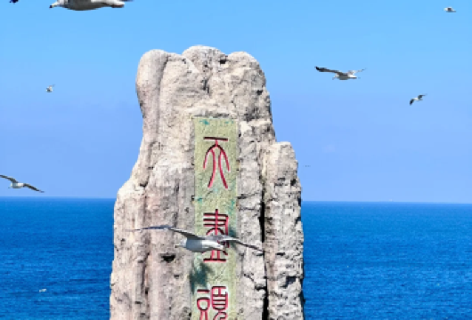 威海成山头+布鲁维斯+孤独公约+天鹅湖+火炬八街等9大景点【[畅玩景区]威海爆火景区一网打尽，尽享海天一色之美】