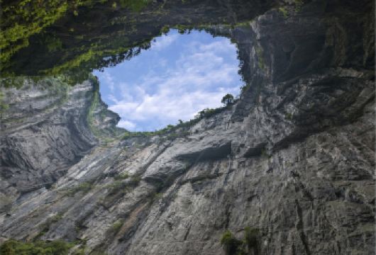 武隆天生三桥+仙女山森林公园一日游【8人小团/大巴团可选】【[出行无忧]8人小团解放碑商圈/南坪商圈/观音桥商圈三大商上门接，性价比大巴团商圈定点免费接驳出行！】