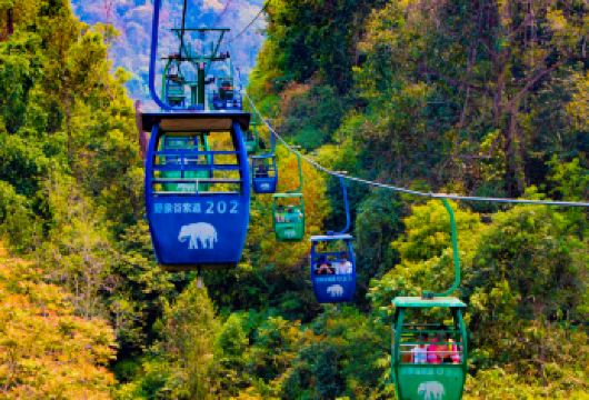 西双版纳野象谷+西双版纳原始森林公园一日游包车【[透明的价格体系，不花冤枉钱]费用高低取决于您对品质的要求，透明报价，明白消费】