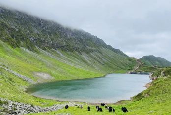 阿尔沟一日游【龙池雪山、溪流草甸-纯玩徒步登顶领奖牌】【门票+观光车70/人（人数少于21人申请原车上下山费用不变），领队车上代收须消费】