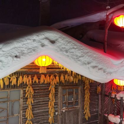 中国雪乡+大秃顶子山一日游【赏夜景｜畅玩冰雪｜驯鹿部落】